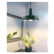 SUSPENSION GALVA Ø 38 CM VERT MOUSSE
