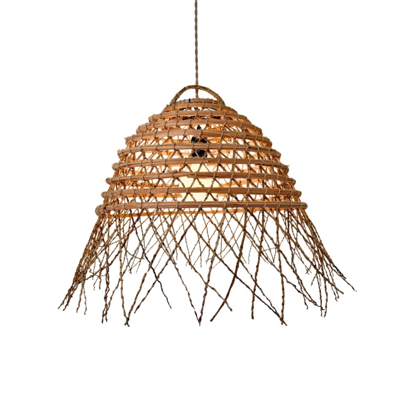 SUSPENSION PALMIER 3